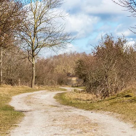 In The Dunes Nearby The *