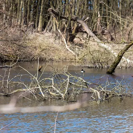 In The Dunes Nearby The * IJmuiden