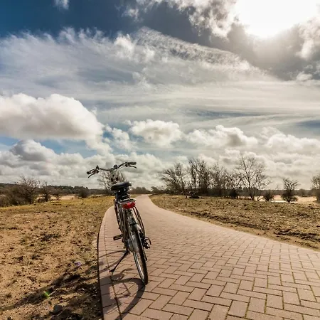 Alpehytte In The Dunes Nearby The