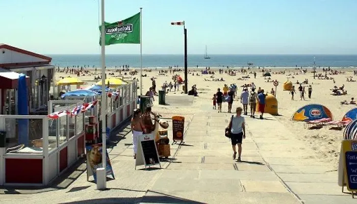 Chalet In The Dunes Nearby The
