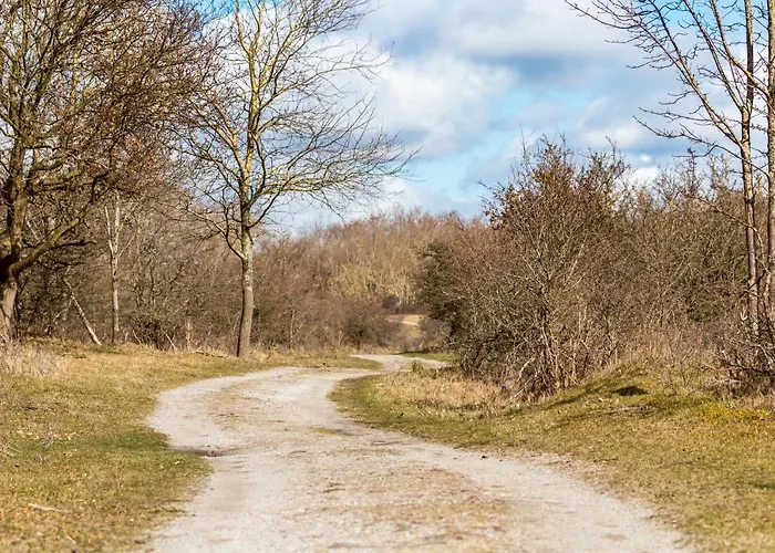 In The Dunes Nearby The *