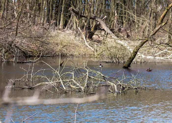 In The Dunes Nearby The * IJmuiden