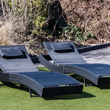 In The Dunes Nearby The Alpstuga *