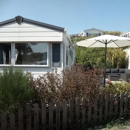 In The Dunes Nearby The *